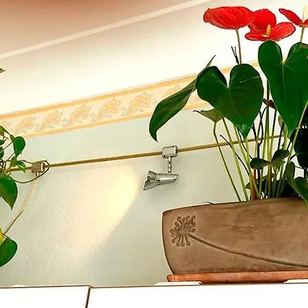 T2 A Pied De Sur Ancien Chic, Samedi A Samedi Apartment *